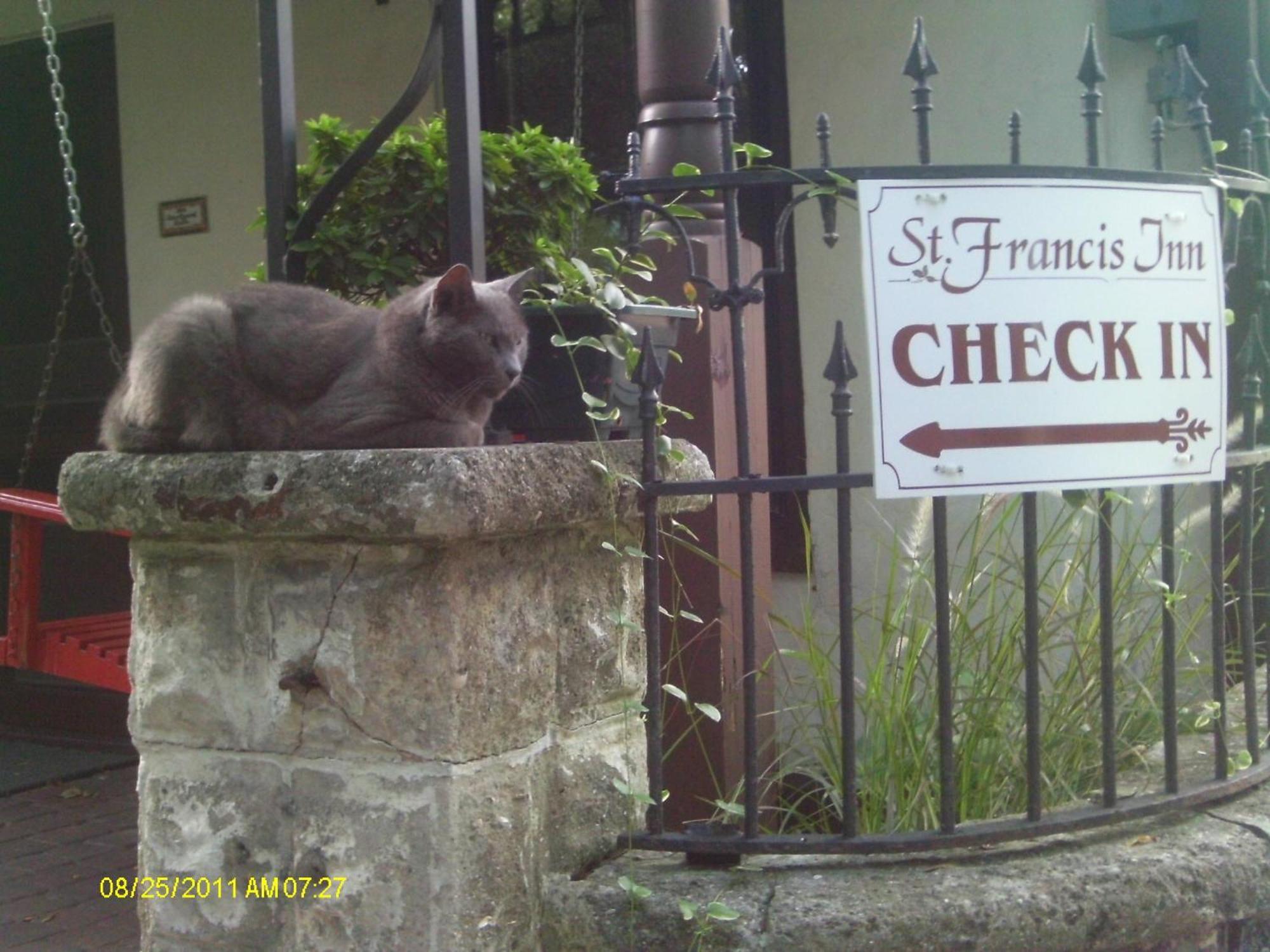 St. Francis Inn - Saint Augustine Eksteriør billede